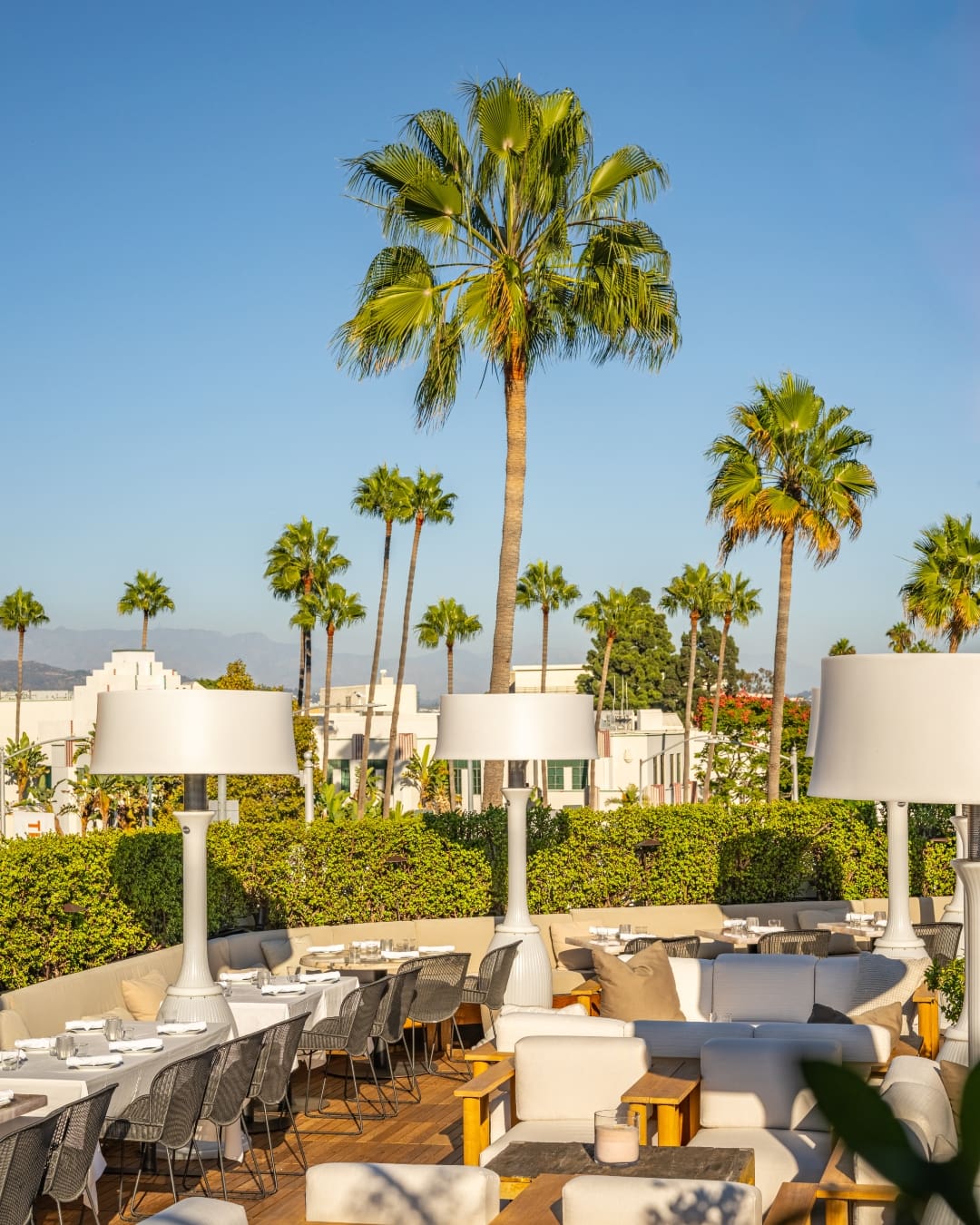 Palm trees on the rooftop at Bar Funke