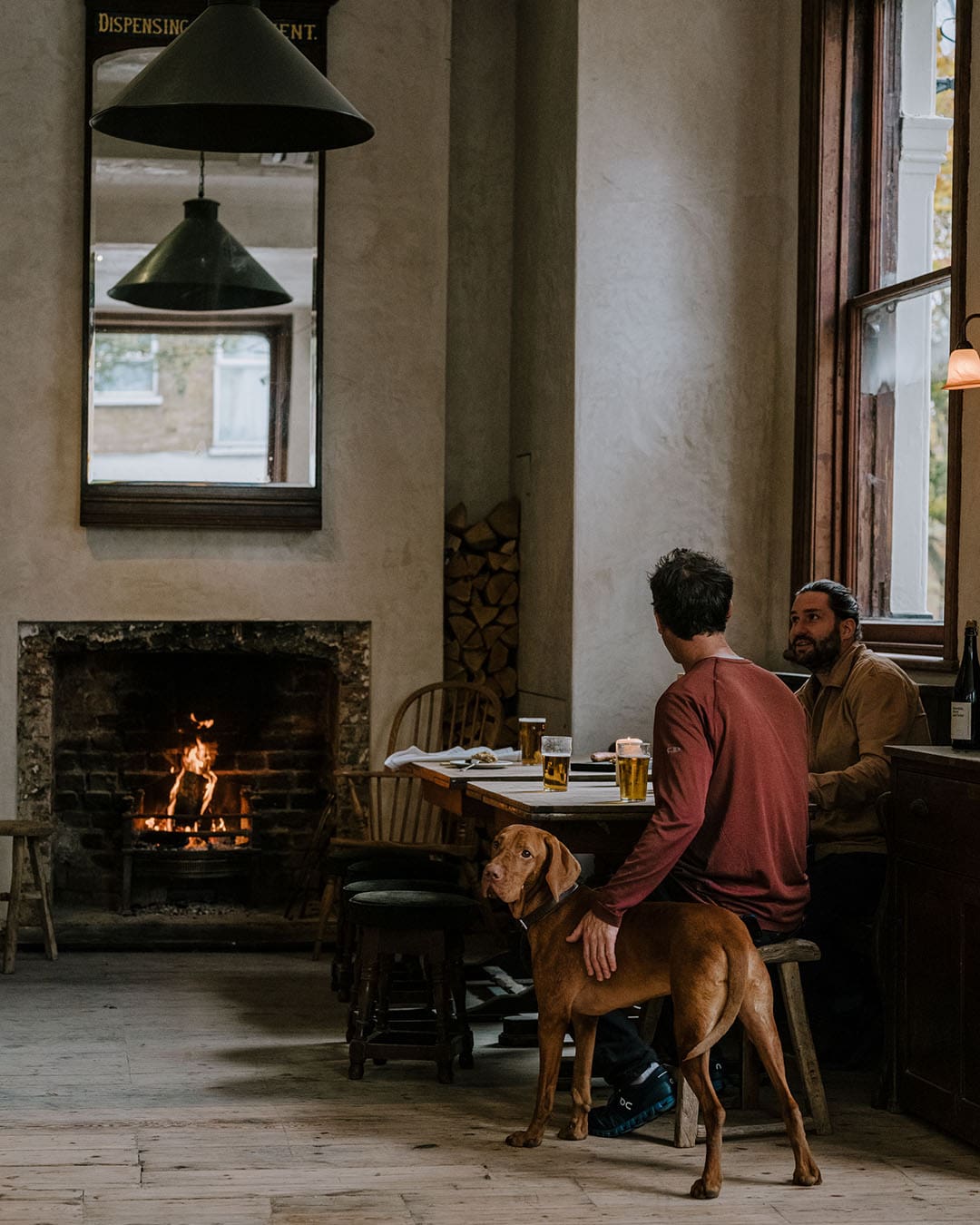 Two people and their dog having drinks in a modern pub with a fire
