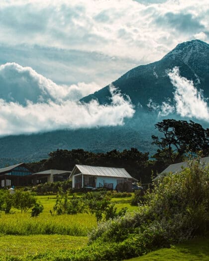 Finca San Cayetano, a coffee plantation, shown against mountain views in Guatemala