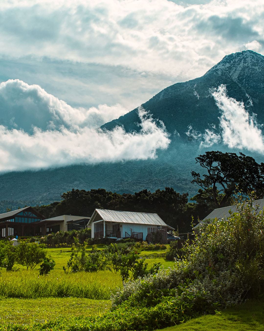 Finca San Cayetano, a coffee plantation, shown against mountain views in Guatemala