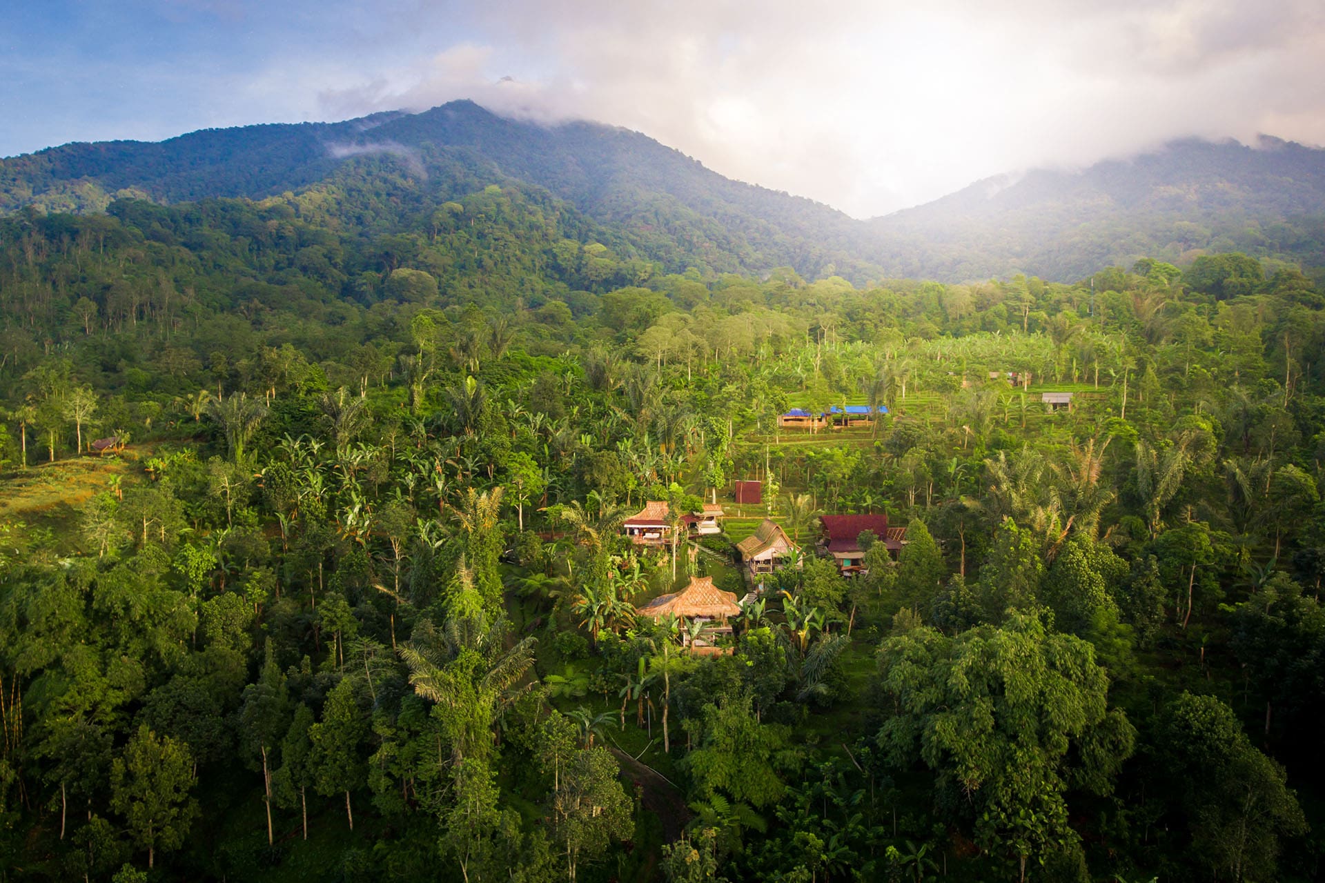 Batukaru Coffee Estate, Bali, Indonesia