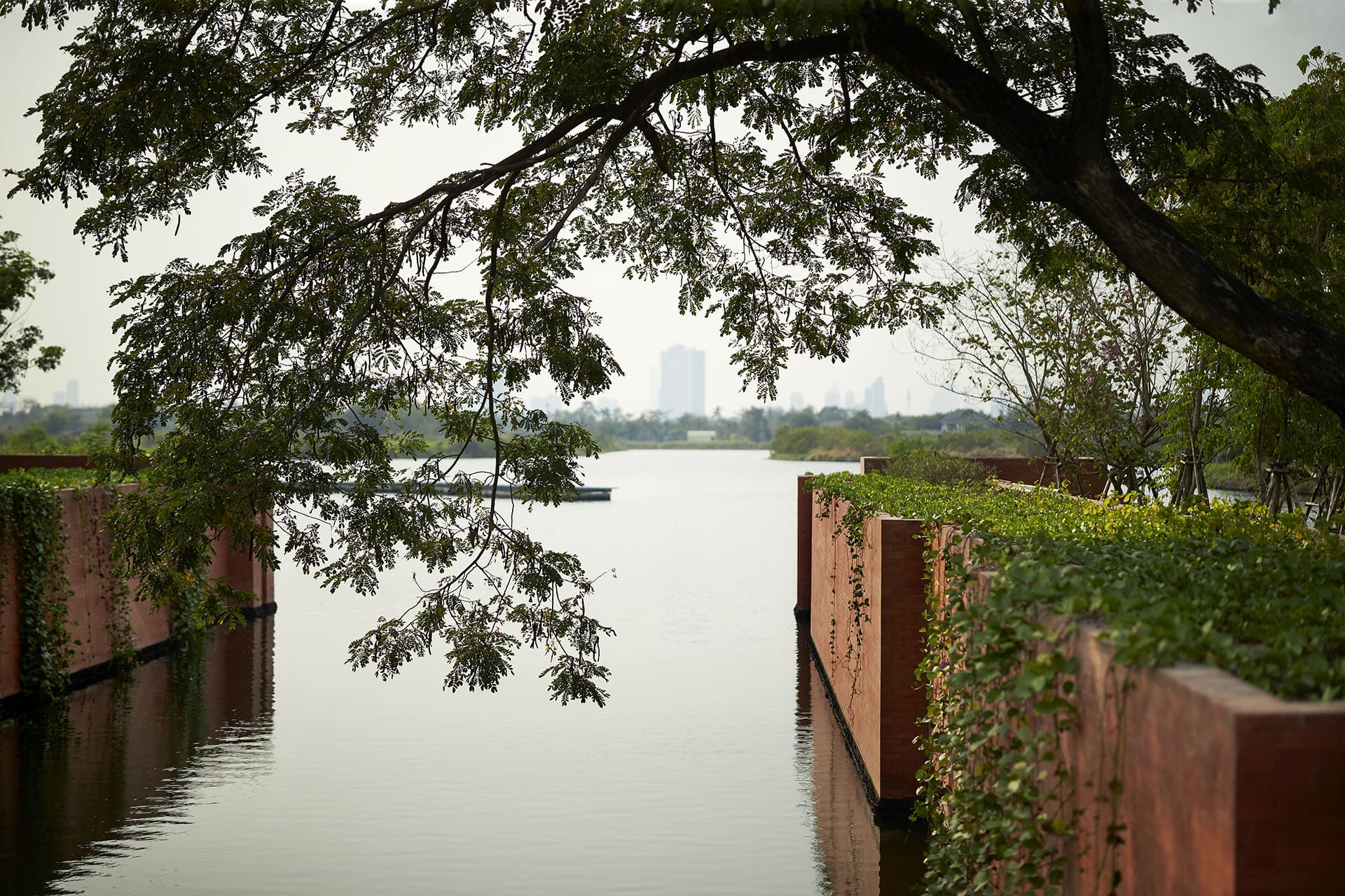 A serene lake view through trees at RAKxa, Thailand, an integrated wellness retreat near Bangkok