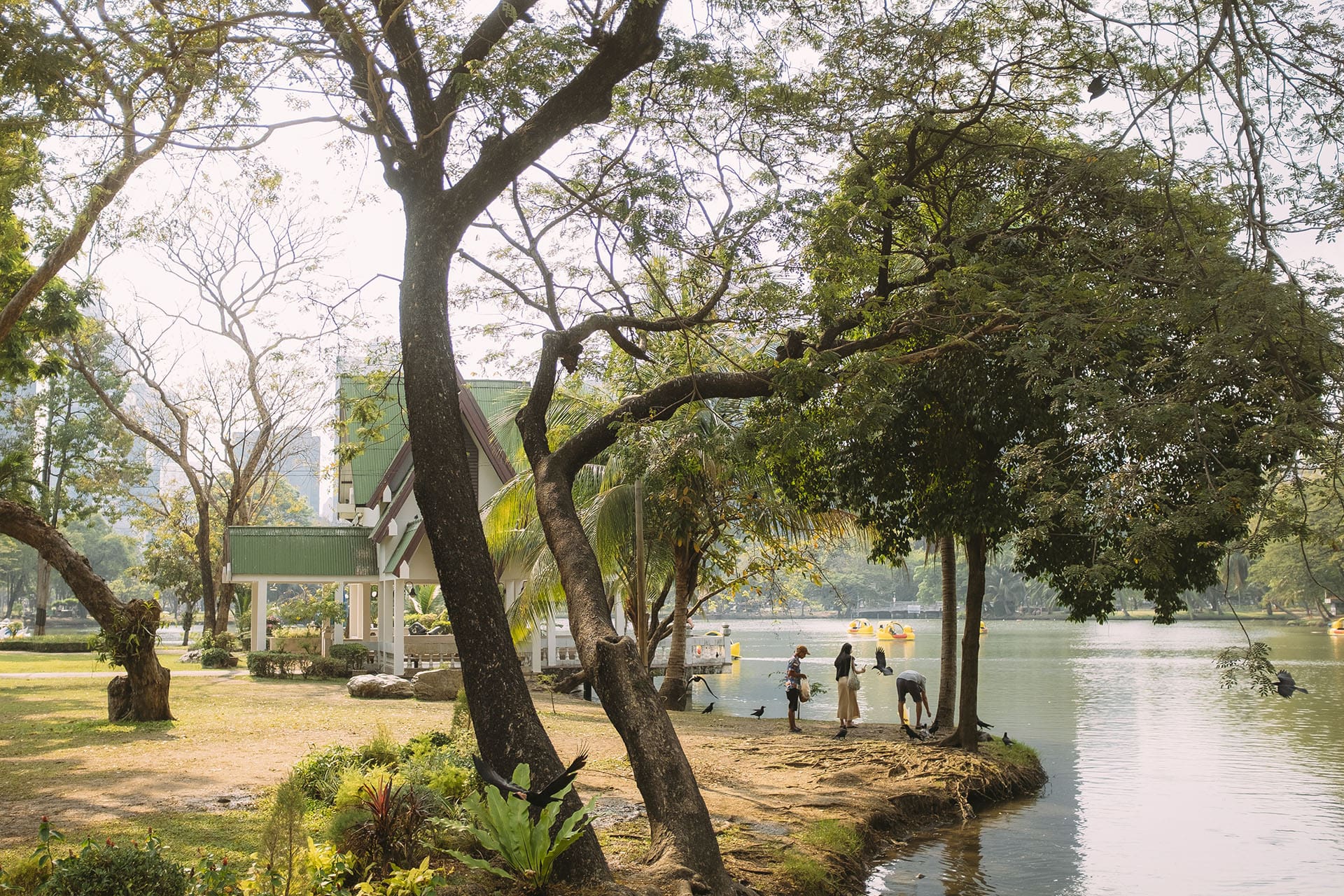 Visitors enjoying the lakeside views of Lumphini Park as dappled light falls between the trees