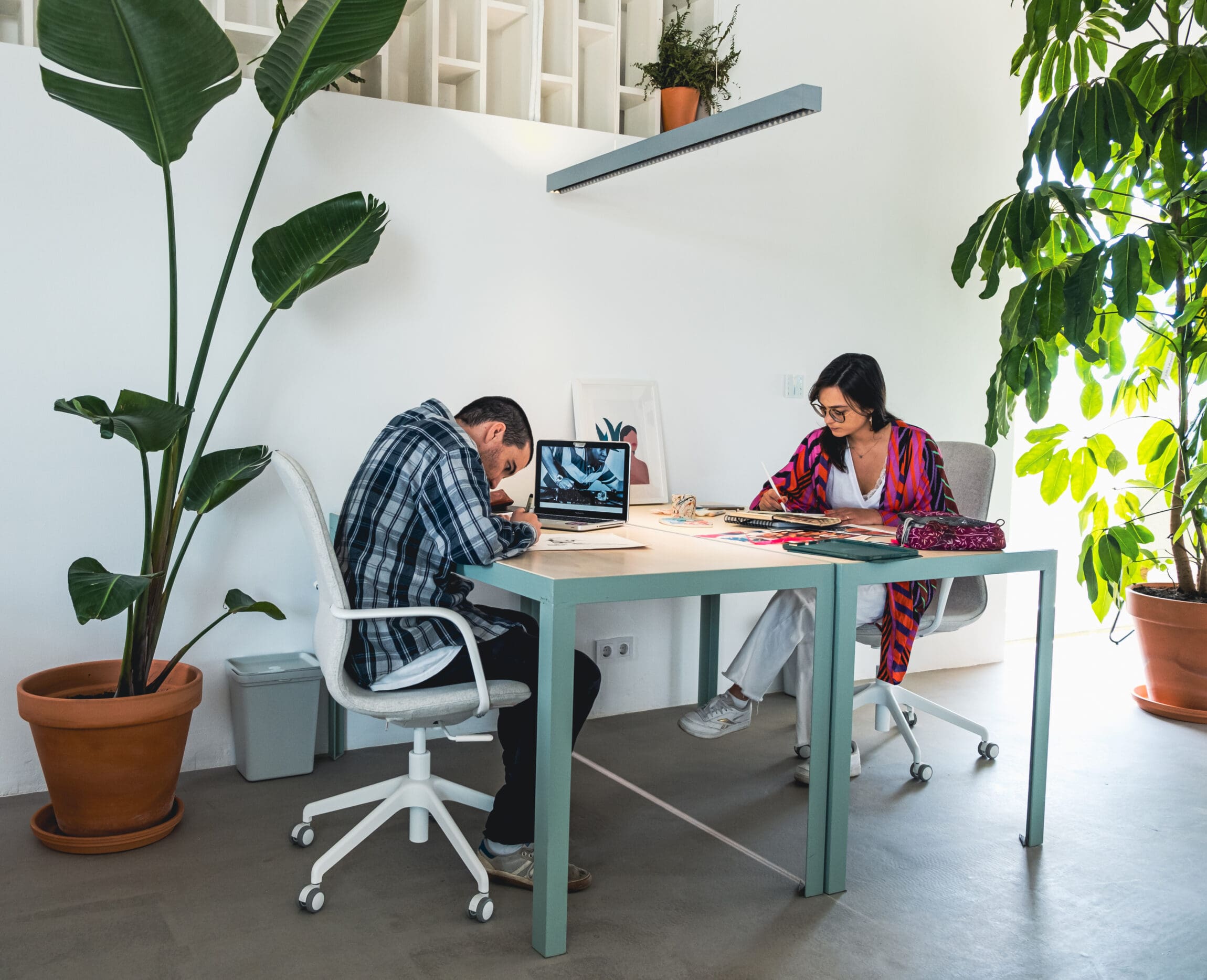 Two people work at a desk next to a white wall and a pot plant.