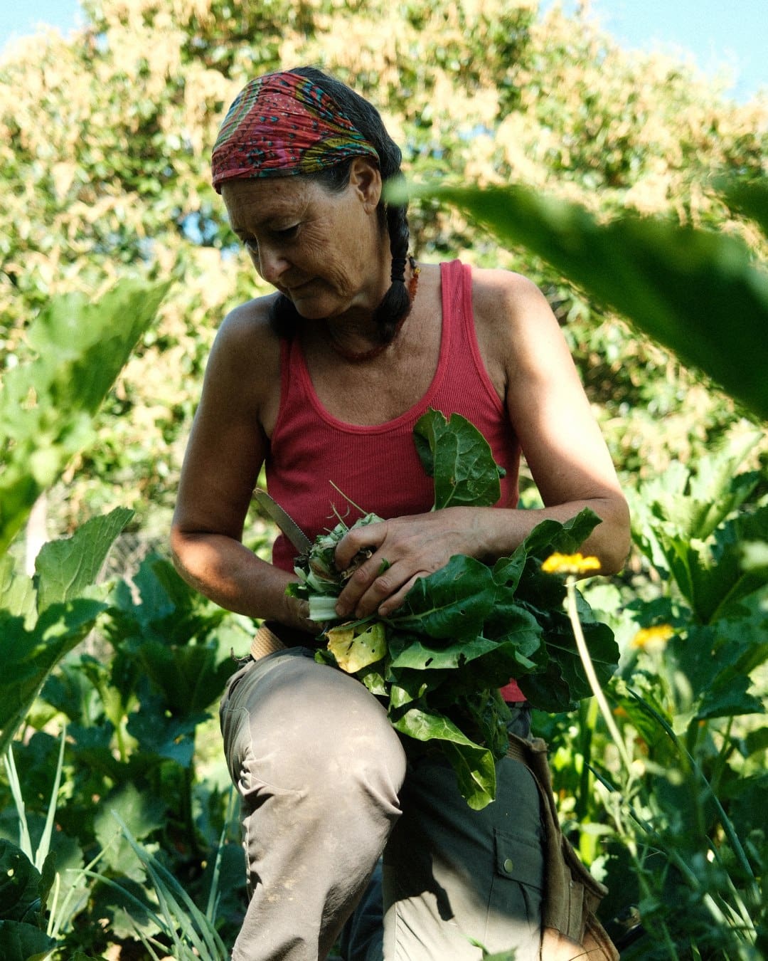 Alexandra gathers vegetables in the garden at Poderaccio Organic Farmhouse, Peccioli, Italy
